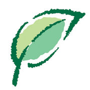 ����Seeds��