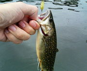 釣りって楽しいね☆