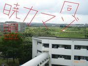 ���ޥ�Ʊ����mixi����