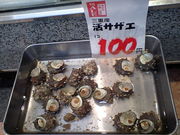 �������Τ�������