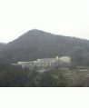 ������ӣ������֥쥶���������