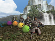 ��MHF�����ܲ�ž������F