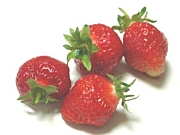 ��1984ǯ1��5�����ޤ��