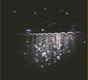 New Young City��SUPERCAR