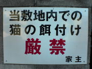 ǭ