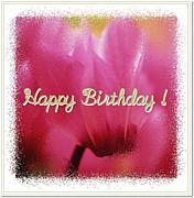 �����������񥵡������