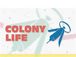 select used COLONY LIFE