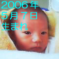 2006年5月7日生まれ