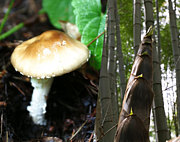 ���Τ��λ��⤿���Τ���Τ��Ʊ��