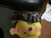 ���ޥޥȥ��