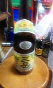 ����񹥤��β�(o^��^o)