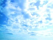 ŷ���Τ������ϼ̿�������