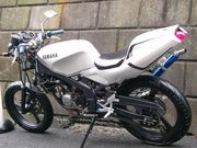 ���դ�100?Ķ������