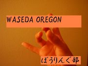 WASEDA OREGON���ܥ������