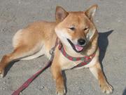 �Ƹ�365������������������