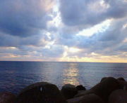 1985ǯ���ޤ��긺¤�A��