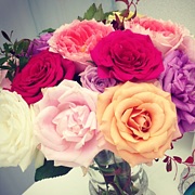 ���������������������ë