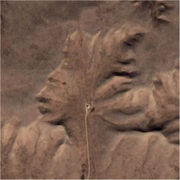 信じるか信じないかは貴方次第