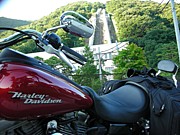 ʡ de Harley-Davidson