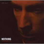 joe lally -FUGAZI-
