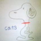 �ĳ�CATS