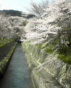 ���������̹⣱������ǯ����´