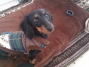 ��󤳤�ͧã����������