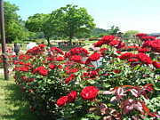 あなたが自分らしく輝く日