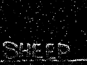 THE SHEEP