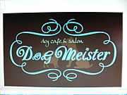 DogMeisterDog hotel&cafe