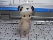 世界の石井ちゃん率いる根暗部☆