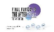 FF4 the after years