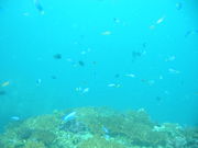 �͹�����С���Φ��ν��ޤꡣ