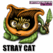 STRAY CAT