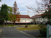 ���Ṿ����Ҿ�1996ǯ��´������