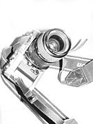 �̿�ư����