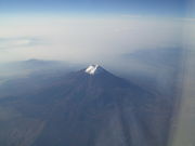 ���Ե�.ι�ҵ�.���������ʡ�����