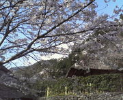 庭〜THE GARDEN〜