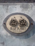 BLUE PLANET 阿嘉島