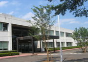 ����㳲�Կ���ǽ�ϳ�ȯ��