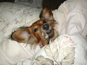 ���å���ߤ����ʸ�