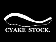 CYAKE STOCK.