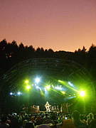 FUJI ROCK (フジロック）