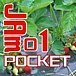 JAM POCKET