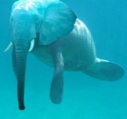 ���̤ꥯ���