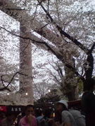 ����ƻ�����