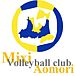 MaffickVolleyballClubĿ