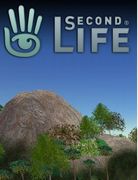 Enjoy ! Second Life 