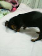 �⤰�⤳����������