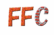 FFCFashion Future Clubˡ